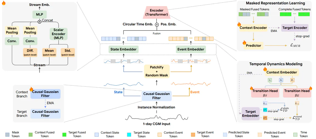 GlucoFM architecture showing separate state and event streams, fused hourly tokens, transformer encoders, and latent prediction objectives.