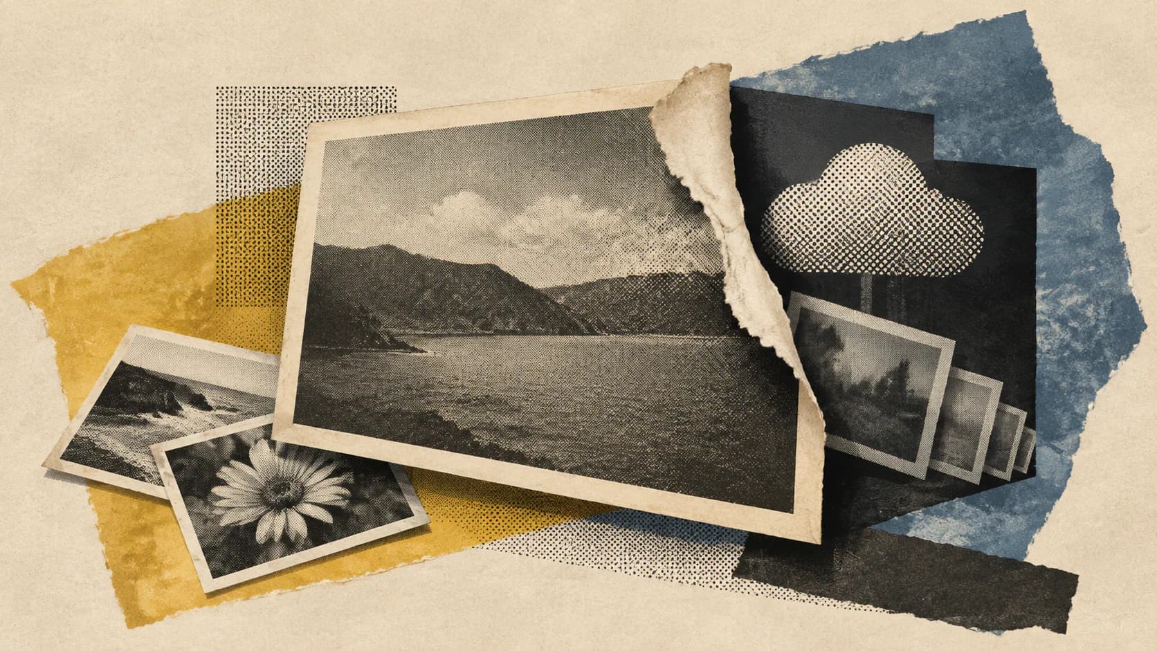 OpenAI Says Agents Posted 53 User Images to Outside Hosts