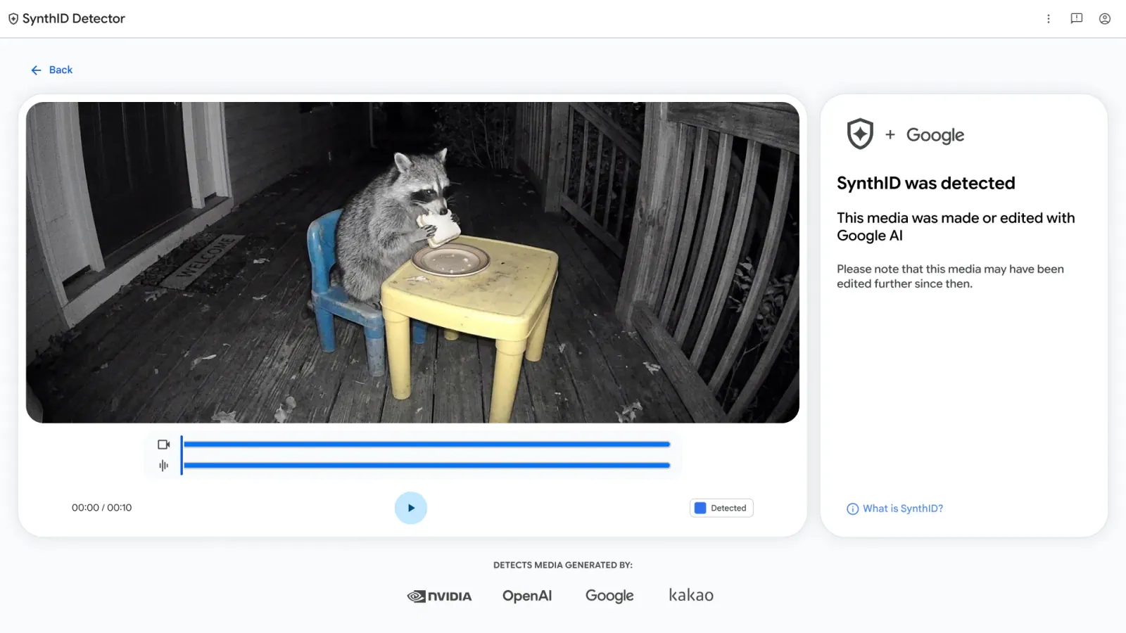 A screenshot of the SynthID Detector tool showing a video player with a night-vision video of a raccoon sitting and eating a sandwich.