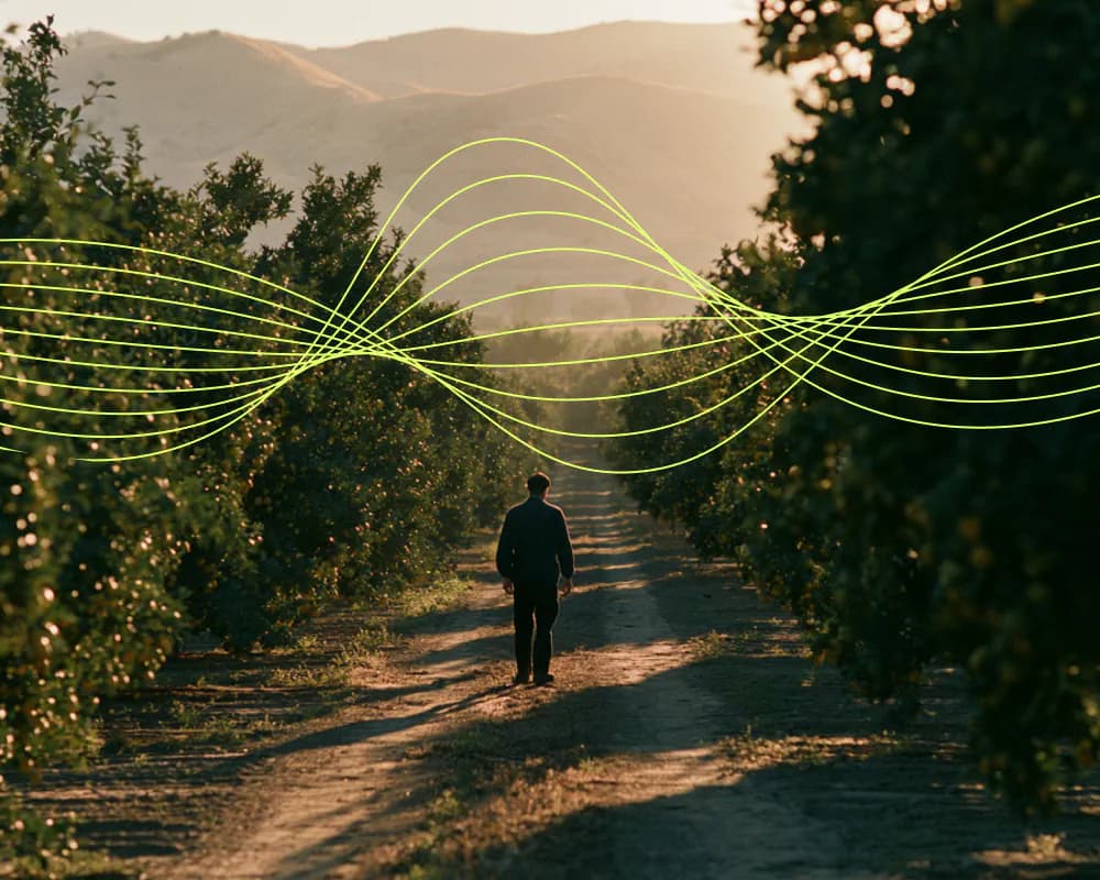 Orchard rows at golden hour with plant electrical signal waveform overlay