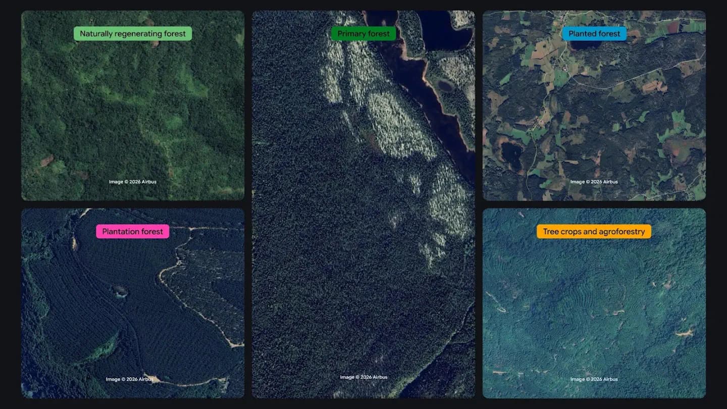 Five satellite images showing different types of forest categories: naturally regenerating, primary, planted, plantation, and tree crops/agroforestry.